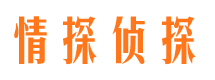 秀城侦探公司